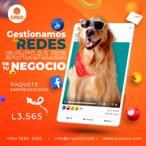 Gestión Redes Sociales (Paquete profesionista)